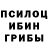 Галлюциногенные грибы GOLDEN TEACHER unrealilya