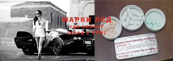 прущие грибы Зеленодольск