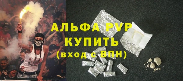 прущие грибы Зеленодольск